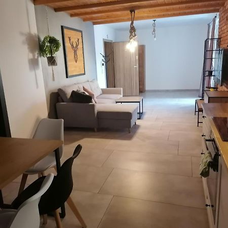 Apartament Jelen Apartment Zlotow  Exterior photo