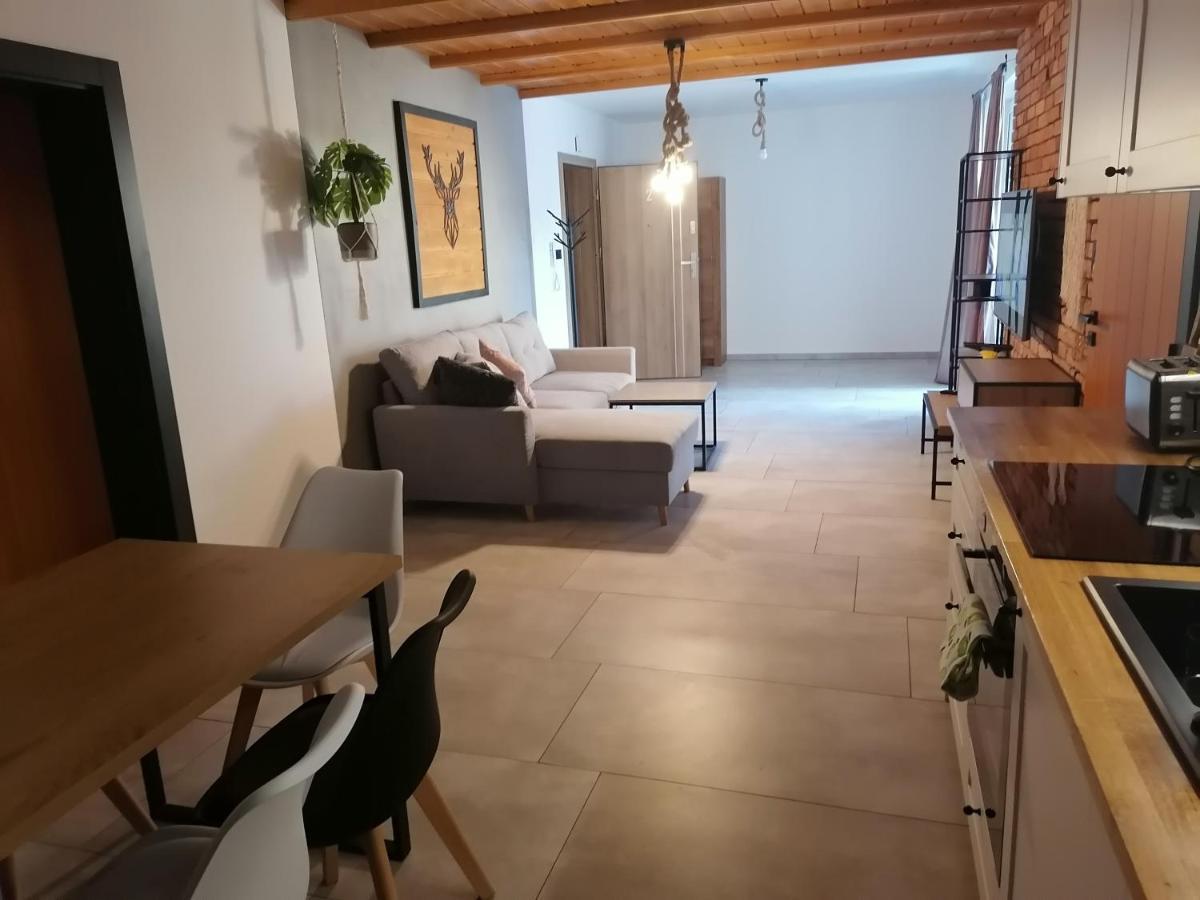 Apartament Jelen Apartment Zlotow  Exterior photo